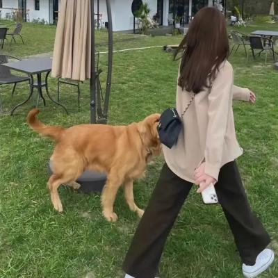 一个女孩和一个男孩 封面