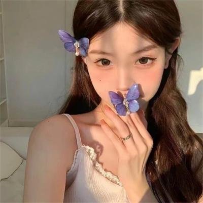 疯狂的蠢贼 封面